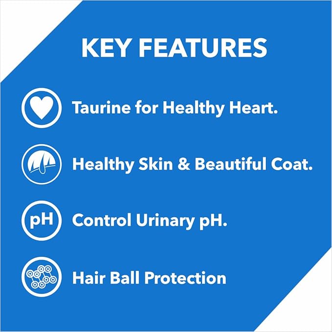 Drools Kitten Dry Cat Food, Ocean Fish Flavour 1.2Kg with Free Container Pack