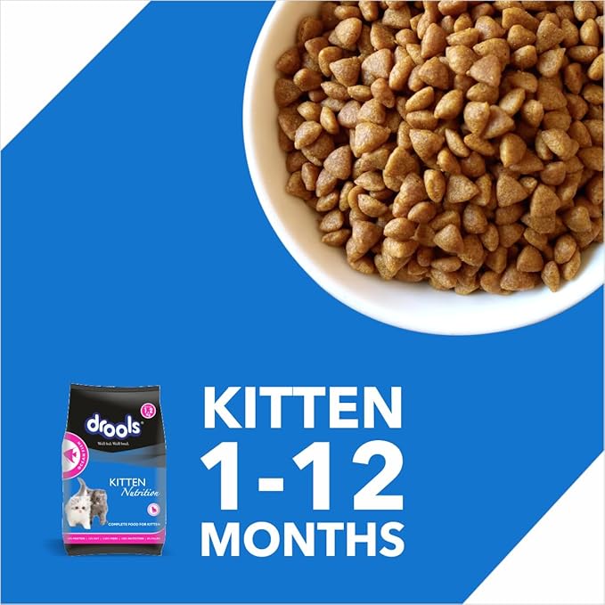 Drools Kitten Dry Cat Food, Ocean Fish Flavour 1.2Kg with Free Container Pack