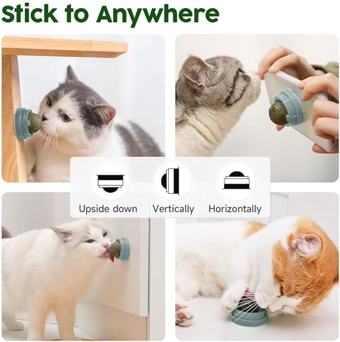 Potaroma Catnip Silvervine Balls 4 Pcs Extra Cat Energy Ball, Edible Kitten Lick, Teeth Cleaning Dental Chew Wall Treats for All Breeds (Grey)