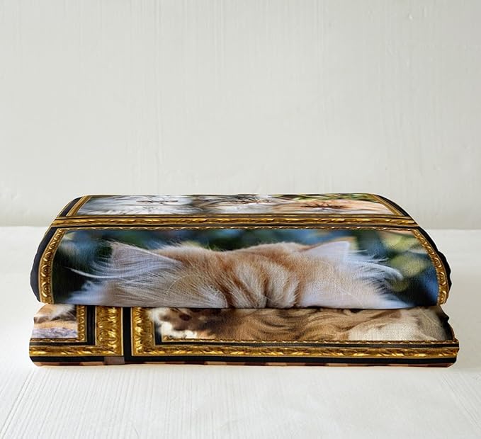 Feelyou Garfield Print Fleece Throw Blanket for Bed Sofa Couch Cute Cat Plush Blanket Queen 90"x90" Kawaii Kitten Sherpa Blanket Gift for Garfield Lover Fuzzy Blanket Flannal Blanket