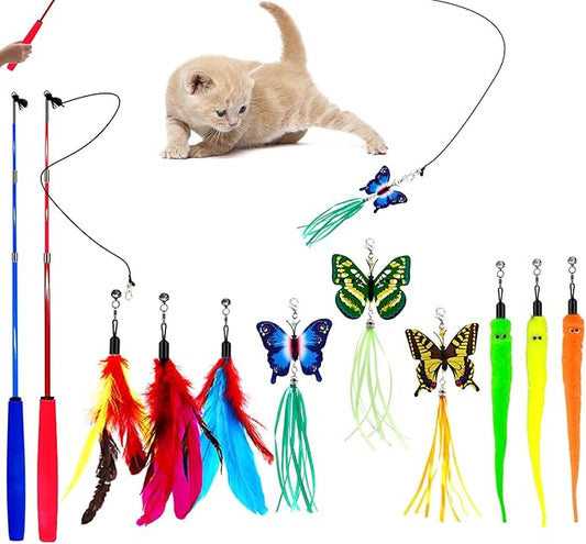 Cat Wand Toy, Interactive Cat Toys with 2 Poles & 9 Attachments Worm Feathers, Cat Feather Toy for Kitten Cat for Indoor Cats