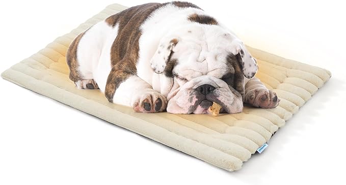 Luxury Soft Self Warming Cat Bed, Thermal Warm Large Dog Pad for Indoor & Outdoor, Washable Pet Mat with Non-Slip Bottom (Beige)