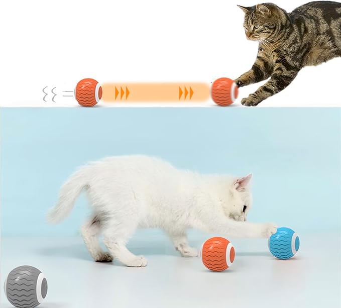 Interactive Cat Toys for Indoor Cats Exercise, 2023 Upgrated Fun Kitty Kitten Kicker Toys…
