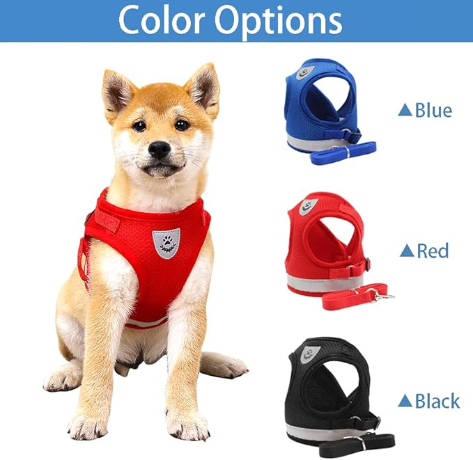 Cat and Small Dog Vest Harness and Leash Set, Mesh Harness with Reflective Strap, Step-in Adjustable Harness for Small Cats