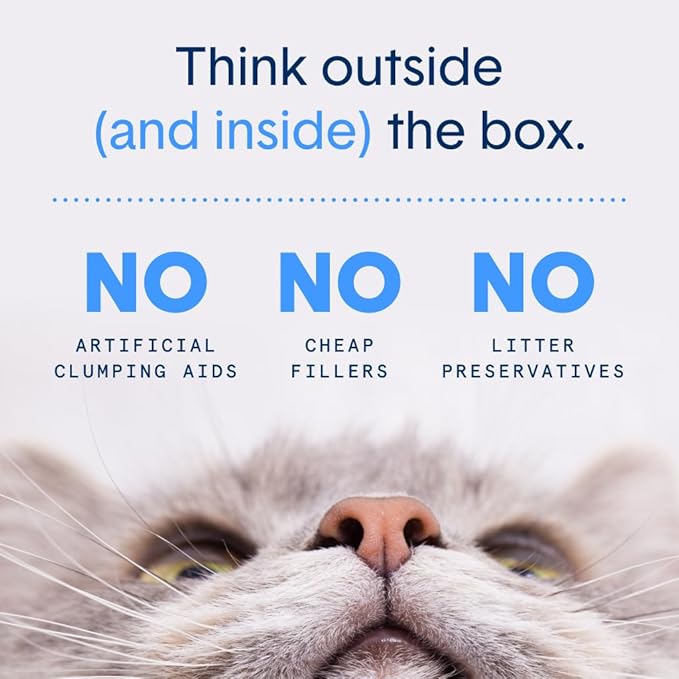 Boxie® Gently Scented 30 Day Natural Odor Control Cat Litter, 32lbs Total Clumping Clay Kitty Litter (2 Pack of 16lb Bags)