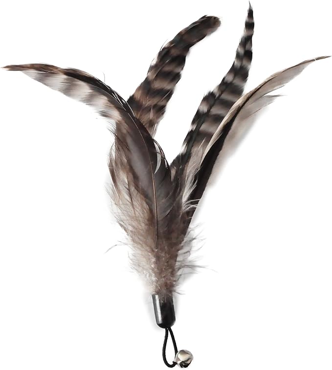 Cat Toys - No Chemical Dyeing Cat Feather Toys for Indoor Cats - Include Cat Wand and Natural Feather Refills