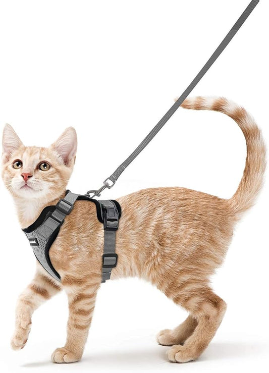 rabbitgoo Cat Harness and Leash for Walking, Escape Proof Soft Adjustable Vest Harnesses for Cats, Easy Control Breathable Reflective Strips Jacket, Grey, S