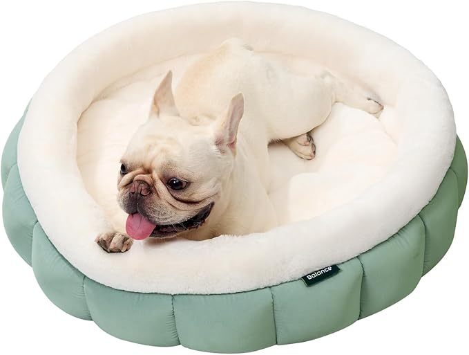 BALANCE Round Cat Beds for Indoor Cats - Donut Dog Bed for Medium Dogs, Washable Medium Pet Bed, Round Fluffy Plush Faux Fur Cat Bed with Anti-Slip Bottom