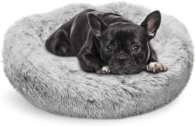 Whiskers & Friends Small Dog Bed Washable, Fluffy Dog Beds for Small Dogs, Round Cat Beds for Indoor Cats, Calming Pet Bed, Donut Cat Bed