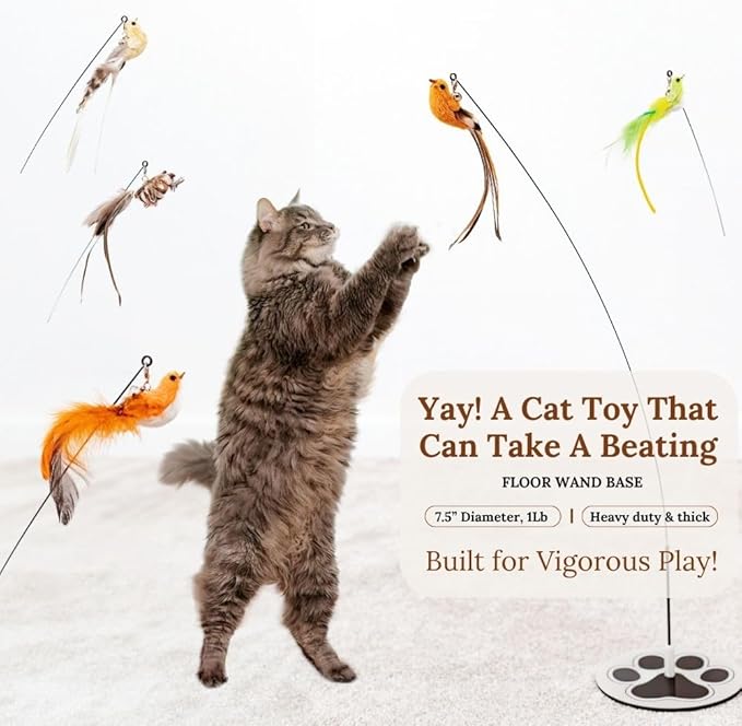 Cat Wand Toy Cat Toys for Bored Indoor Adult Cats Feather Cat Toy Wand 5 Pcs Natural Bird Feathers Stable Round Base Wand Cat Toys for Indoor Cats Hunting Toys for Cats