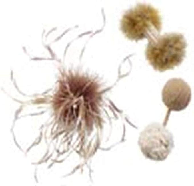 Ethical Double Fun Cat Toys