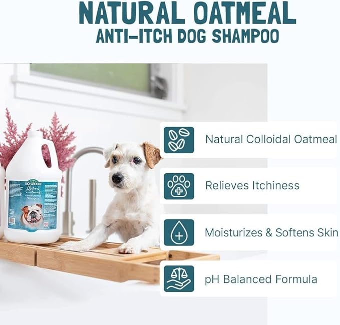 Bio-Groom Oatmeal Dog Shampoo – for Allergies and Itching, Cruelty-Free, Dog Bathing Supplies, Puppy Shampoo for Sensitive Skin, Made in USA, Anti-Itch Dog Products – 12 fl oz 2-Pack