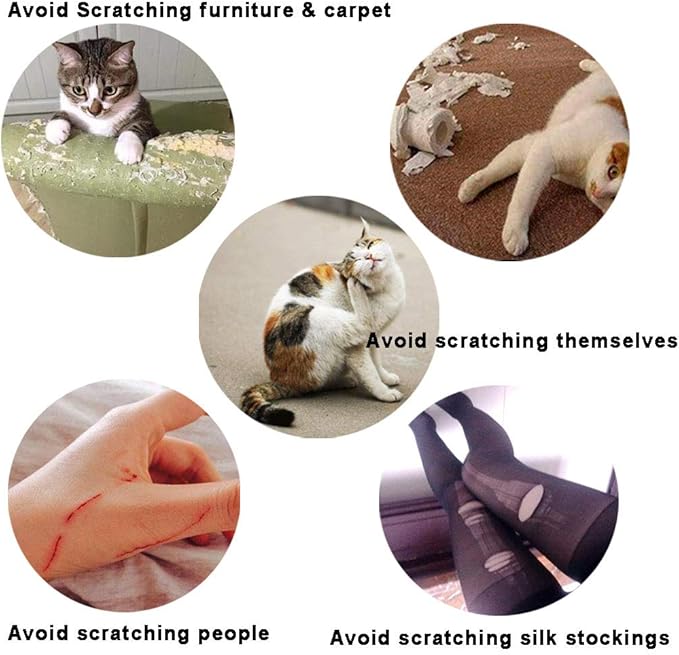 100pcs Cat Nail Caps/Tips Pet Cat Kitten Paws Covers Control Paws of 10 Nails Caps and 5Pcs Adhesive Glue 5 Applicator with Instruction