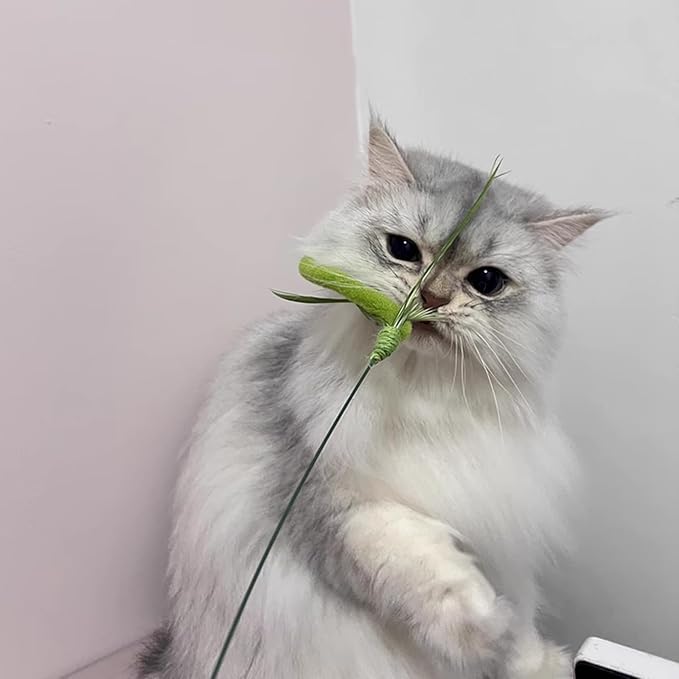IUHKBH Cat Wands, 2 PCS Steel Wire Cat Feather Toys Long Pole Cat Teaser Wand Interactive Cat Toy for Cats and Kitties