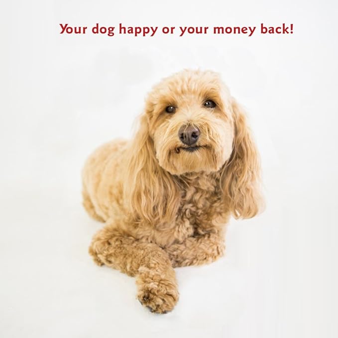 Red Links Extra Large Rectangle Indoor Outdoor Pet Dog Bed With Removable Washable Cover By Majestic Pet Products