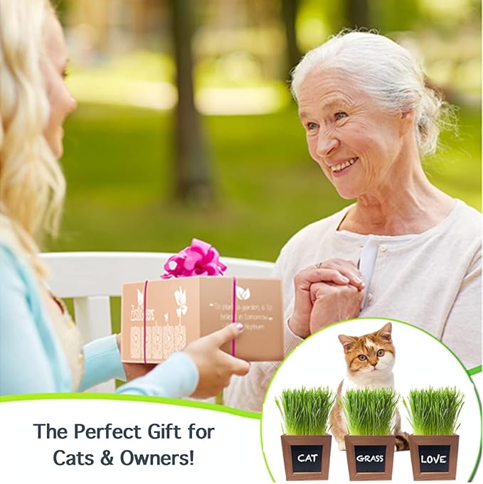 Organic Cat Grass Kit with 3 Rustic Wood Planters, Seeds and Soil. Easy to Grow for Indoor or Outdoor Cats, Dogs and Other Pets. 3 Planters to Continuous Growth of Kitty Grass.