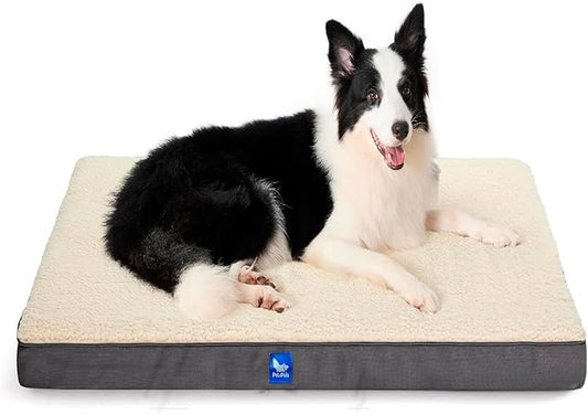 Orthopedic Dog Bed, Memory Foam Revisable Two Side with Washable Removable Cover,Medium, 30”x20”