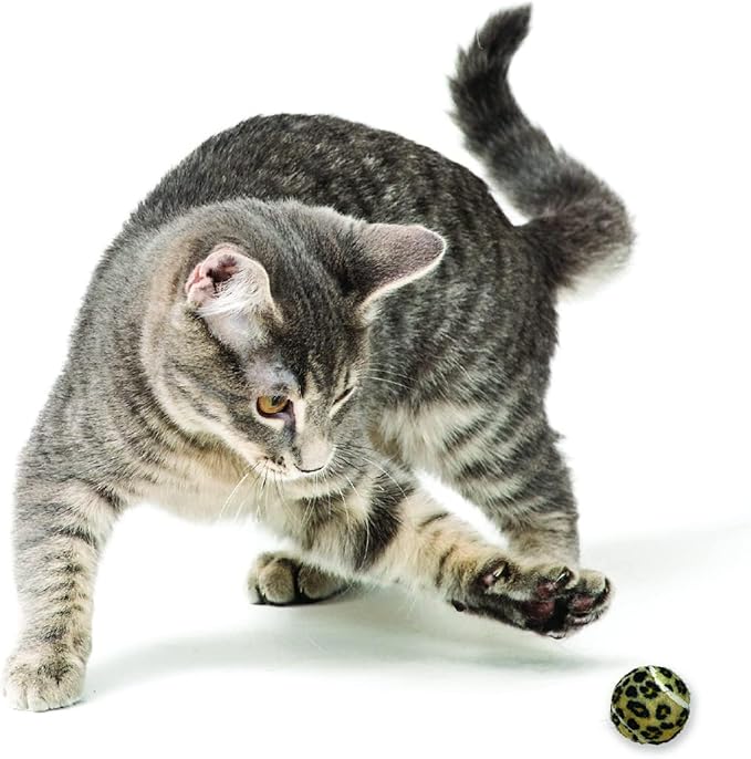 CAT DANCER Products Jungle Pattern Cat Balls (Pack of 4), Interactive Cat Fetch Toy for Exercise with Bead Inside, Toys to Entertain Indoor Cats and Kittens, All Breed Sizes