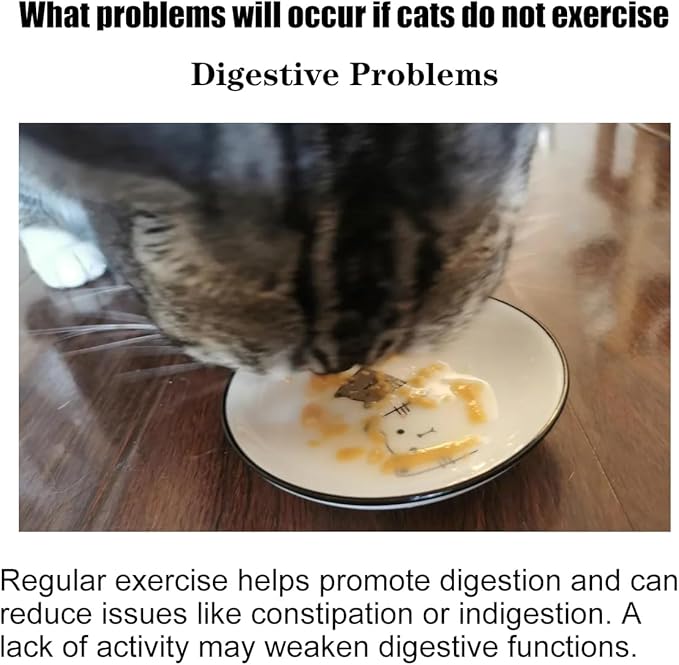 Interactive Cat Toy for Indoor Adult Cats, Cat Ball Track Tower, Feather Toys for Indoor Cats,Mouse cat Toys (Blue)