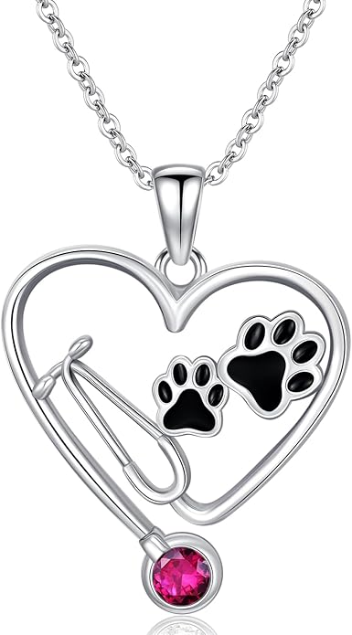 Birthstone Veterinary Stethoscope Necklace 925 Sterling Silver Nurse Vet Pendant with Dog Paw Nurse Jewelry Gifts for Veterinarian Nurse Women Veterinarian Gifts