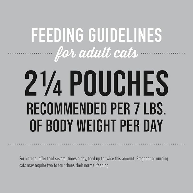 TIki Cat Silver Mousse, With Chicken & Pumpkin In Broth, Silky Smooth Nutrient Rich Formulated for Older Cats Aged 11+, 2.9 oz. Pouch (Pack of 12)