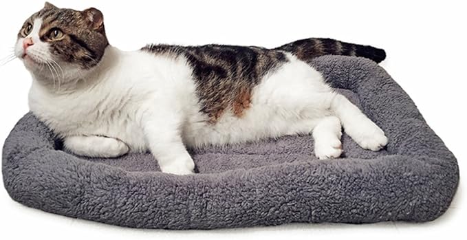 Cat Bed for Cat, Washable Indoor Cat Cushion Bed, Soft and Cozy Plush Pet Bed-M