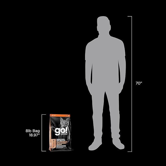 Go! Solutions Digestion + Gut Health, Dry Cat Food, Salmon Recipe with Ancient Grains, 8 lb Bag