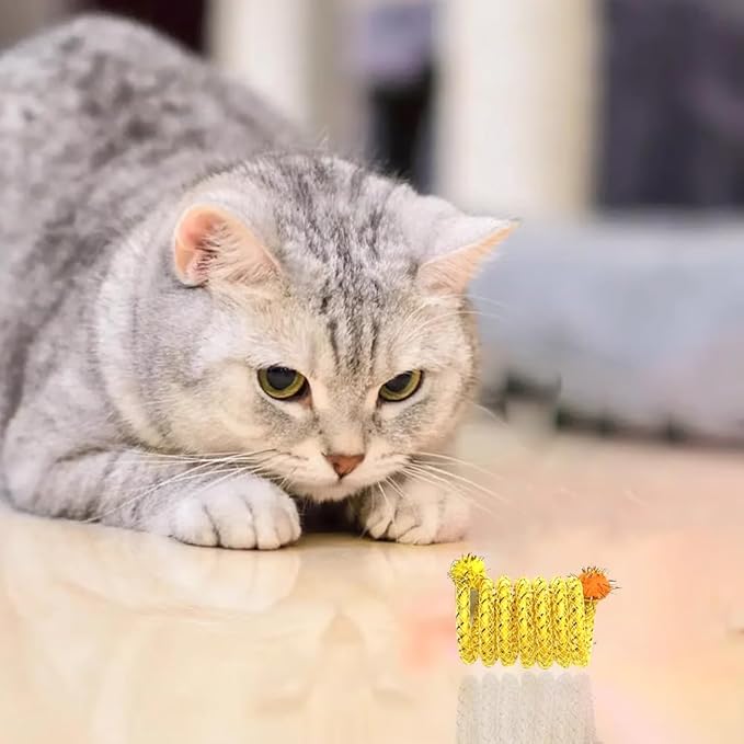 IUHKBH Cat Springs, 6 PCS Colorful Springs Cat Toys Interactive Cat Toy Plastic Coil Spiral Springs for Cat Kitten