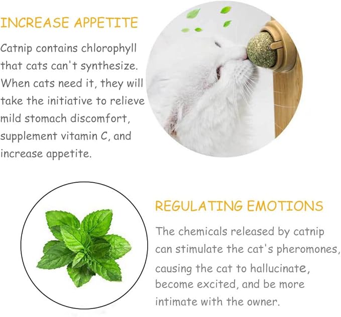 Oncpcare 4 Pack Catnip Balls, Natural Mint Leaf Catnip Balls for Cats Wall Cat Nip Balls Cat Treats Magic Ball for Cat, Kitten, Kitty Playing Chewing