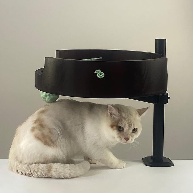 Cat Bed Desk - Adjustable Wooden Cat Bed for Home Office and Study Rooms, Desktop Kitten Furniture Attachment with Pet Mat, Ball, Mouse (Large)