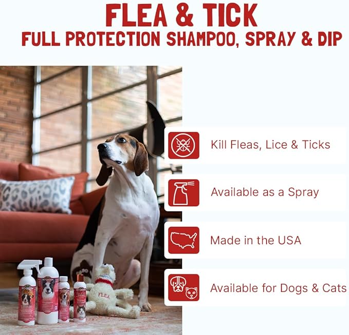Bio-Groom Flea & Tick Dog Shampoo – Flea and Tick Prevention for Dogs, Cat Flea Treatment, Cruelty-Free, Made in USA, Natural Tick Repellent, Protein-Lanolin Shampoo – 12 fl oz 1-Pack