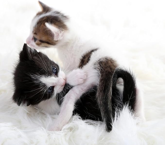 Fluffy Small Dog Cat Bed Mat Rug, Washable Super Soft Plush Faux Fur Warm Area Mat Pad for Indoor Pet Cat Dog Small Sleep Cushion