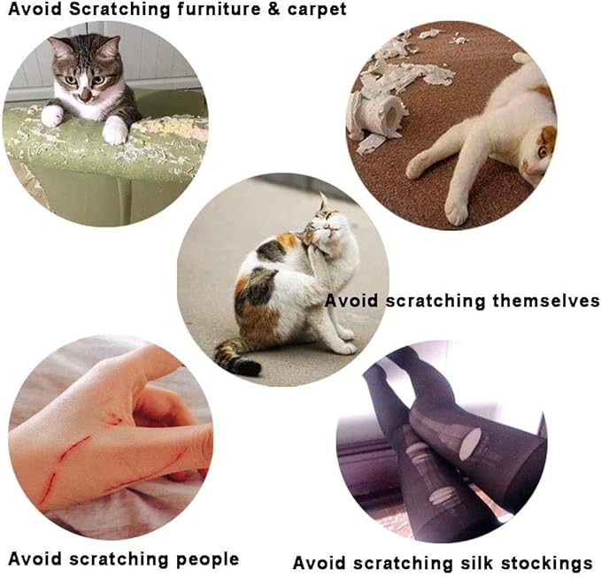 100pcs Cat Nail Caps Glitter Cat Paw Covers Kitten Nail Caps Pet Tips with Adhesives and Applicators Extra Small