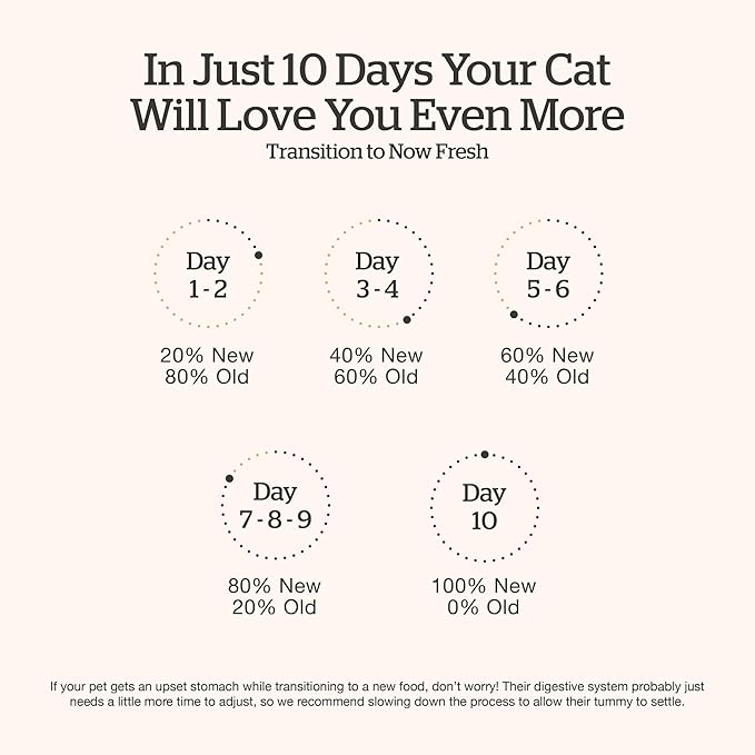 Now Fresh Grain-Free, Dry Cat Food, Turkey, Salmon and Duck Kibble, Real Meat and Fish Adult Recipe, 16 lb Bag