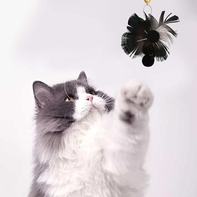 10 Pieces Cat Insect Feather Toys Replacement Cat Toy Wand Refills Interactive Cat Teaser Wand Attachments with Bell for Cat Toys