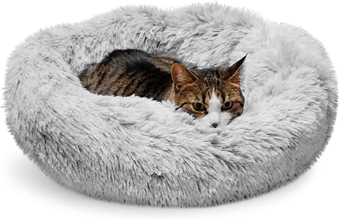 Whiskers & Friends Cat Bed, Cat Beds for Indoor Cats Washable, Small Dog Bed Calming Pet Bed, Cat Beds & Furniture, Large Cat Bed, Kitty Kitten Bed