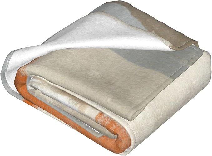 Orange Grey Abstract Art Painting Throw Blanket Soft Cozy Plush Warm Fleece Blanket for Sofa Couch Bed 60"X50"