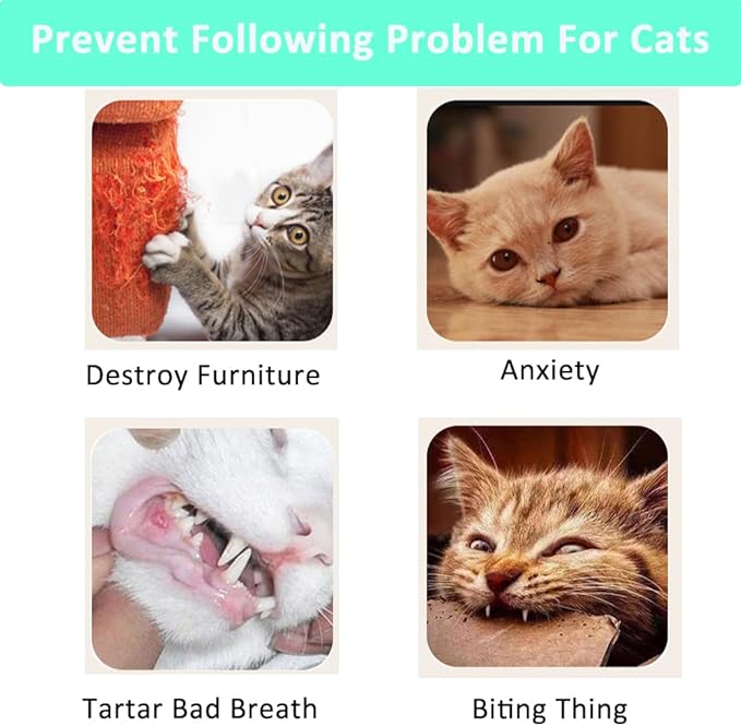 Cat Tunnel Toy S-Shape Folded Cat Tunnel Spring Toys, Cat Spring Toy Cat Spiral Tunnel Toy for Indoor Cats Play Exercise for Puppy, Kitty, Kitten, Rabbit (Blue)