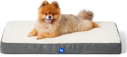 Orthopedic Dog Bed, Memory Foam Revisable Two Side with Washable Removable Cover, Small 20”x15”