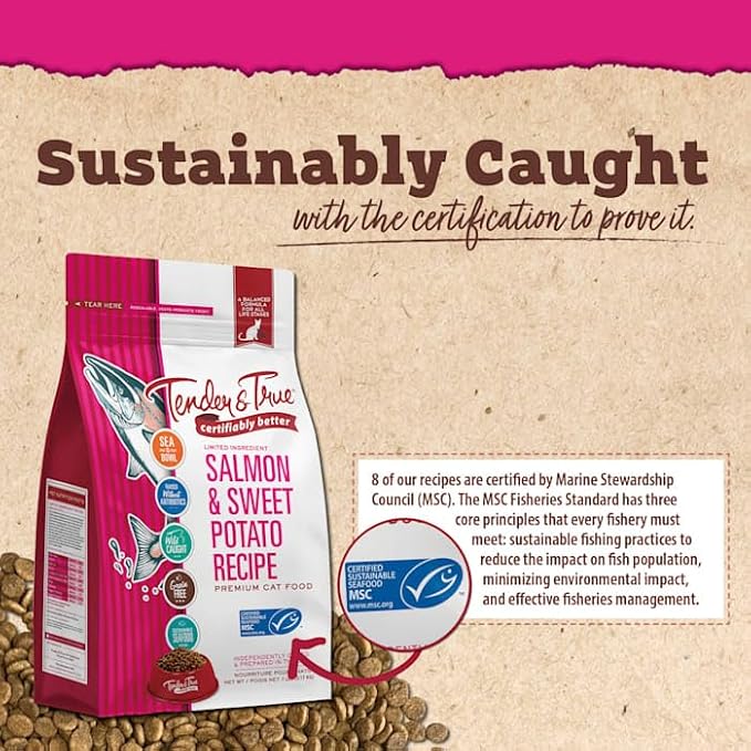 Tender & True Salmon & Sweet Potato Recipe Cat Food, 7lb