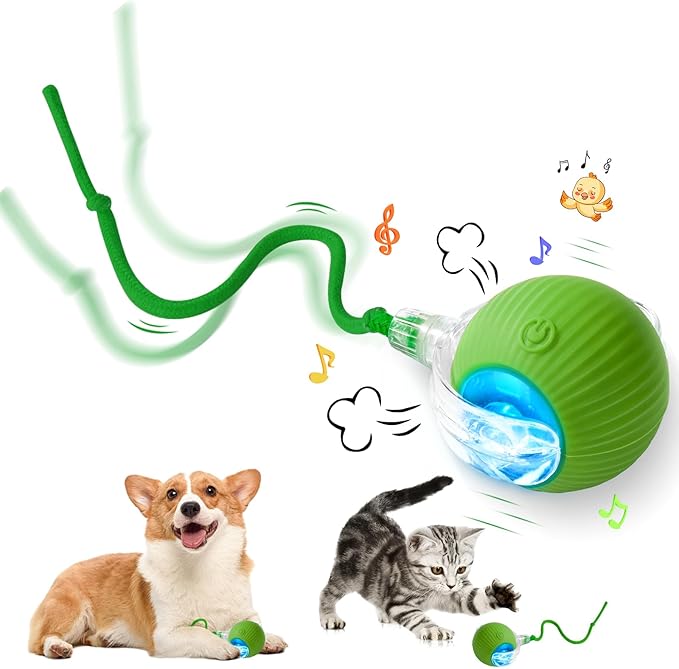 Interactive Cat Toy - Cat Toys for Indoor Cats Smart Silicone Rolling Ball with Tail,Bird Sound,Obstacle Avoidance and Motion Activated,Kitten Puzzle Toys for Bored Indoor Adult Cats & Dogs (Green)
