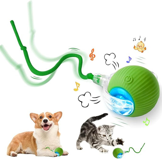 Interactive Cat Toy - Cat Toys for Indoor Cats Smart Silicone Rolling Ball with Tail,Bird Sound,Obstacle Avoidance and Motion Activated,Kitten Puzzle Toys for Bored Indoor Adult Cats & Dogs (Green)