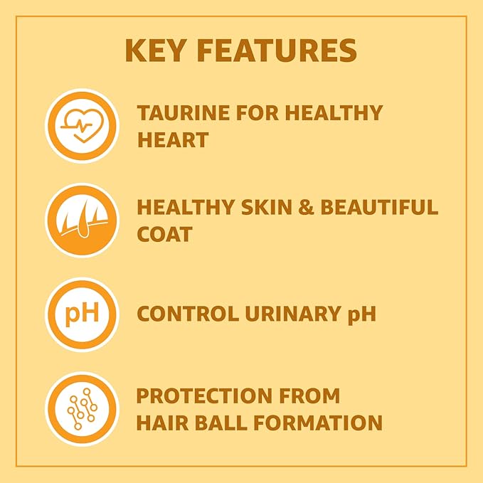 Real Chicken Adult Dry Cat Food, 7kg