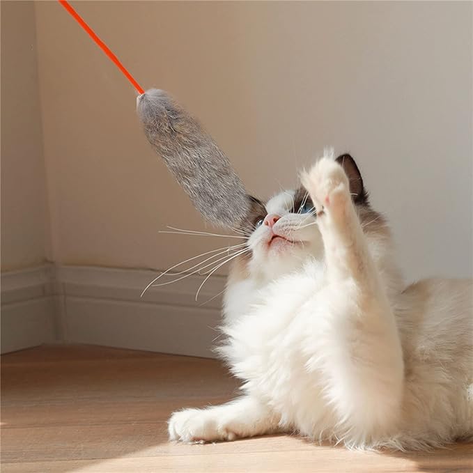 Interactive Cat Toy, Bite Resistant Cat Toys for Indoor Toys Soft Flexible Cat Teaser Wand Toy Plush Cat Teaser Wand Toys for Training(Grey)