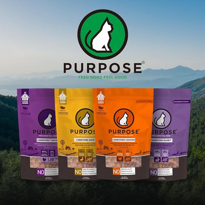 PURPOSE Freeze Dried Raw Cat Food, Grain Free Dry Cat Food, Complete Balanced Meal or Topper, Protein Rich Cat Food for All Breeds and Life Stages, Pure Chicken Recipe Mini Nibs Entrée, 9 oz, USA Made
