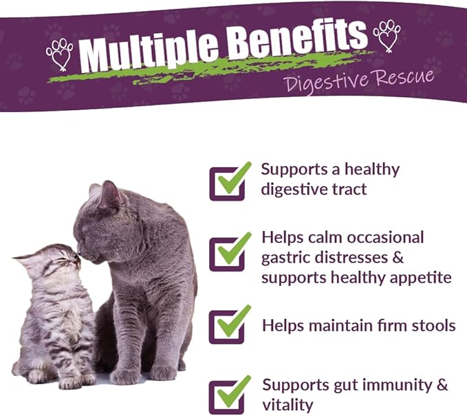 AMBER NATURALZ Kitty-DT Digestive Rescue Herbal Supplement for Cats | Feline Herbal Supplement for Occasional Upset and Digestive Support | 1 Fluid Ounce Glass Bottle | Manufactured in The USA