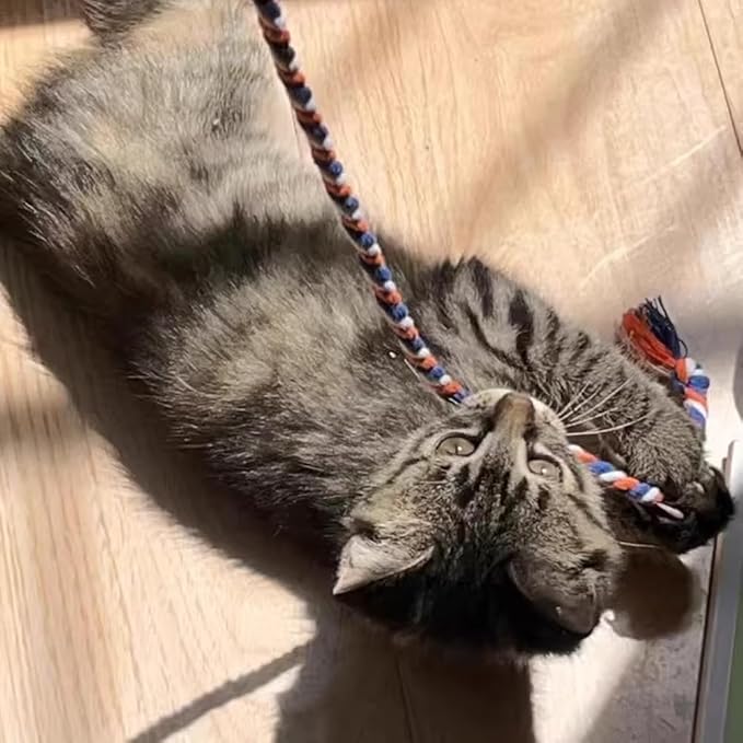 IUHKBH Cat Wands, 4 PCS Colorful Rope Cat Toys Interactive Cat Teaser Wands with Bell for All Breed Sizes
