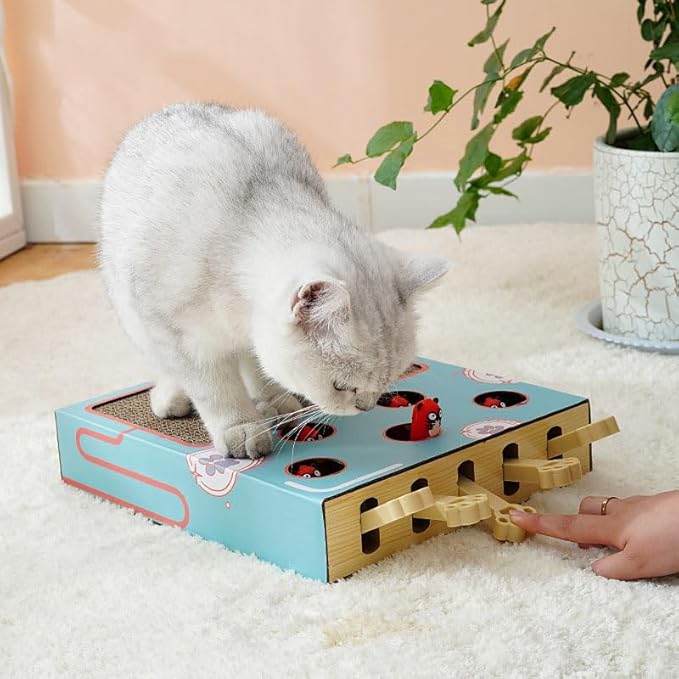 Cat Enrichment Toys for Indoor Cats, Whack a Mole Game Cat Puzzle Toy, Safe Fun Box Paws Scratcher, Interactive Box Catch Mice Game Cat Puzzle Toy for All Ages Exercise Puzzle Relieve Boredom(Blue)