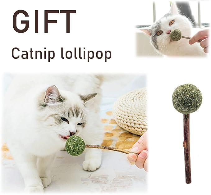 Cat Teaser 3 PCS Interactive Cat Toys Set Mouse Hamster Balloon 16 inch (40 cm) Sturdy Natural Wood Rod Organic Hemp Cord Feather Elastic Rope Small Bell Catnip Lollipop