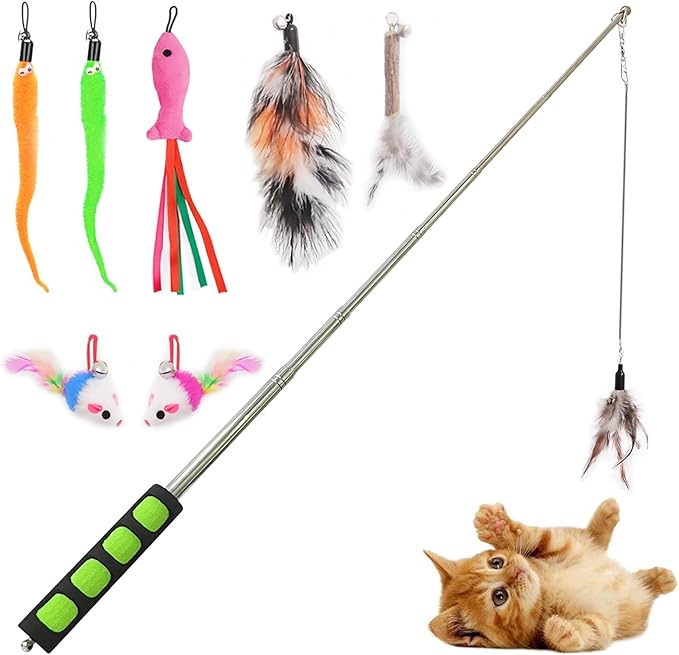 Cat Fishing Pole for Indoor Cats,Interactive cat Toys with Colorful Feather and Bell. (Green)